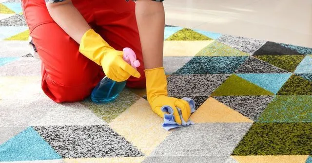 Area Rug Cleaning