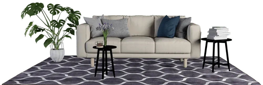 area rug cleaning