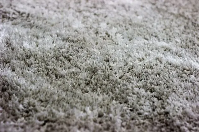 Carpet Protection — Doctor Clean Carpet Cleaning in Aptos, CA