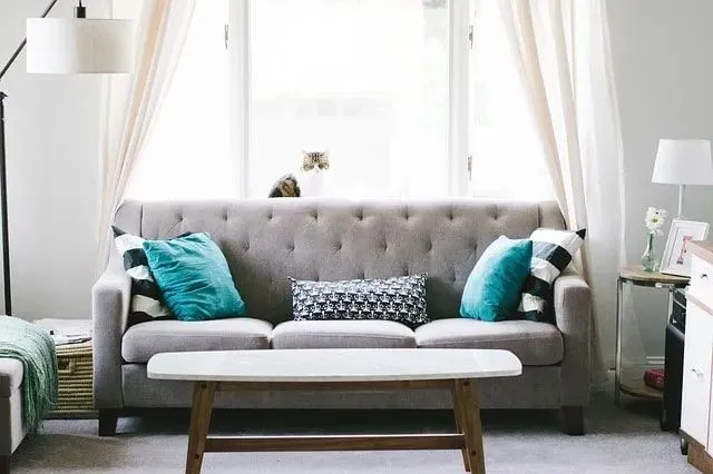 Upholstered Furniture — Doctor Clean Carpet Cleaning in Aptos, CA