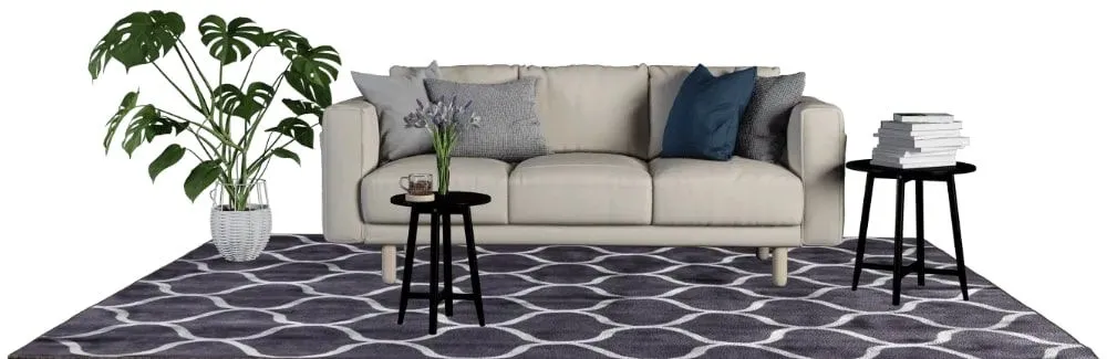 carpet cleaning services