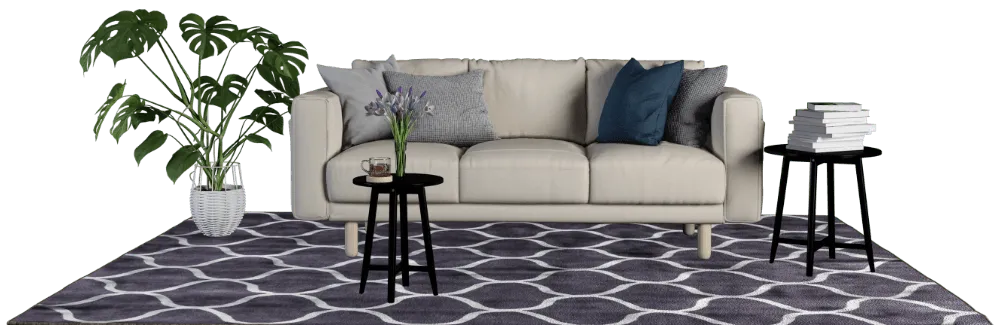carpet cleaner