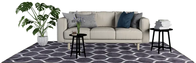 carpet cleaner