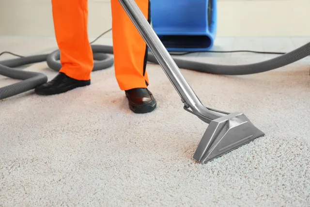 professional carpet cleaner