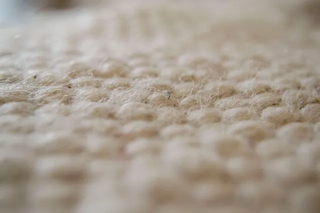 professional wool rug cleaning service in Santa Cruz County