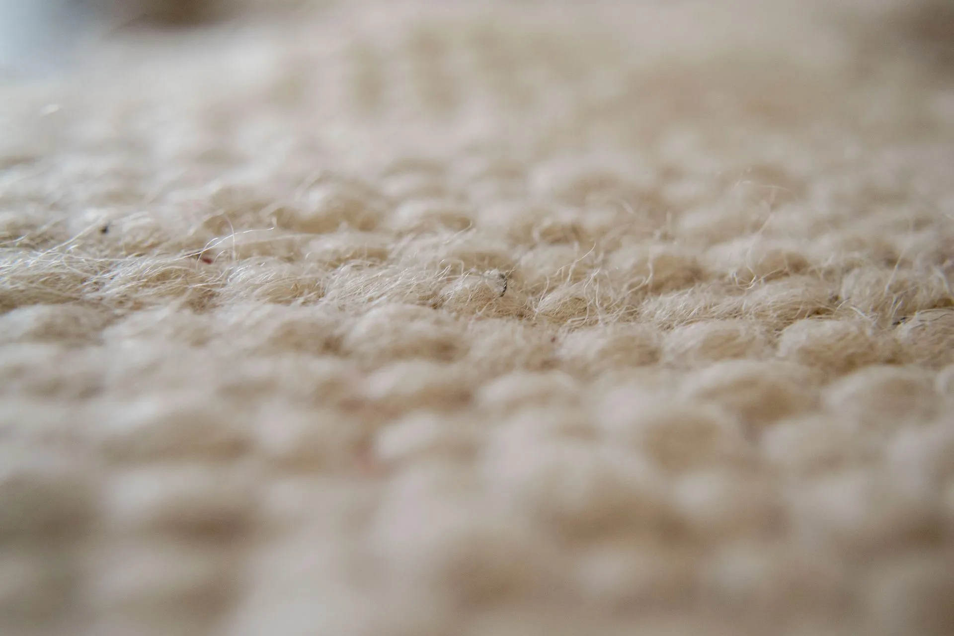 professional wool rug cleaning service in Santa Cruz County